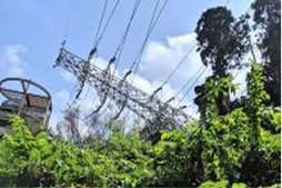 令和元年台風15号